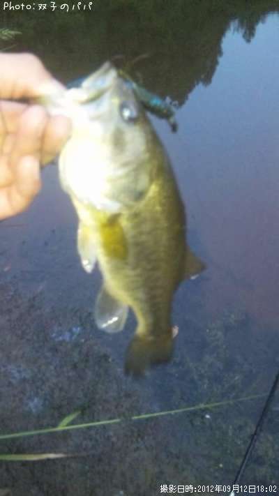 �֥�å��Х�