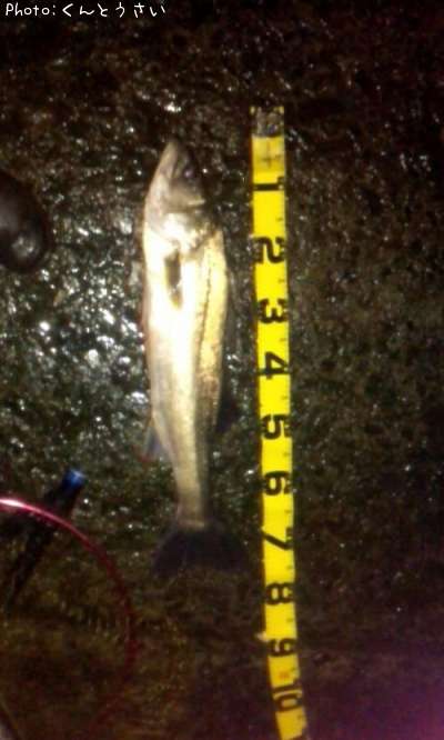 �����Х�