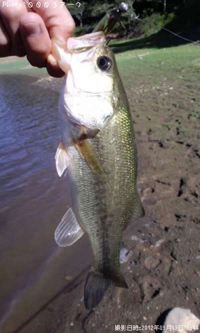 �֥�å��Х�