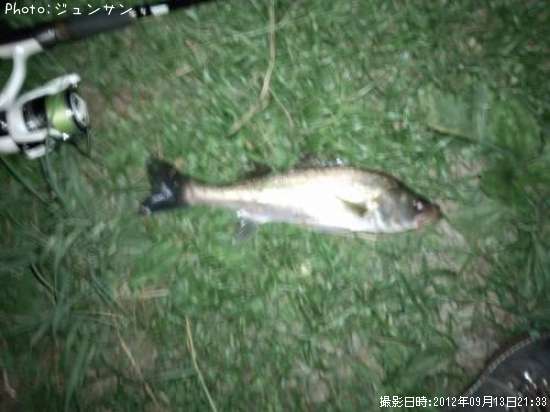 �����Х�