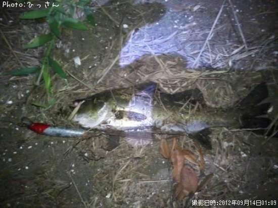 �����Х�