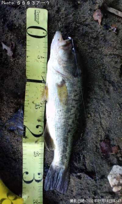 �֥�å��Х�