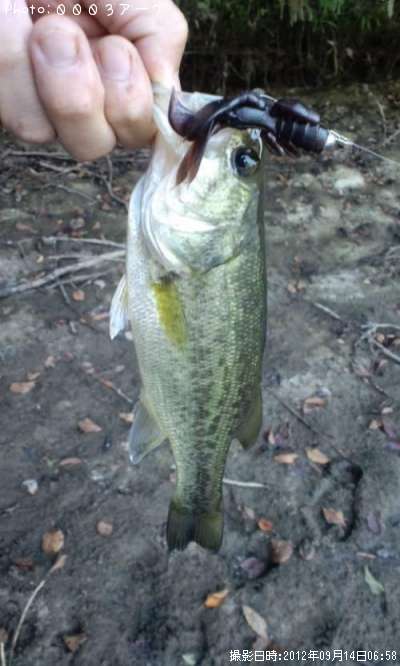 �֥�å��Х�