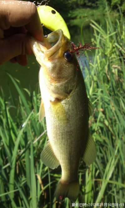 �֥�å��Х�