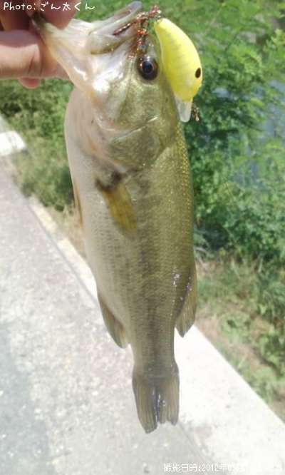 �֥�å��Х�