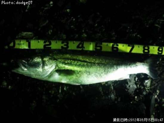 �����Х�