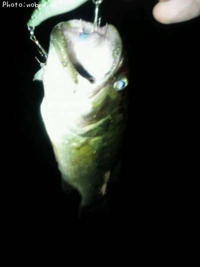 �֥�å��Х�