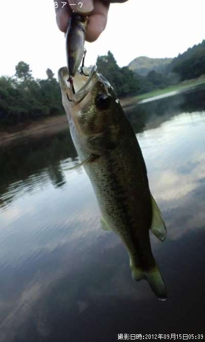 �֥�å��Х�