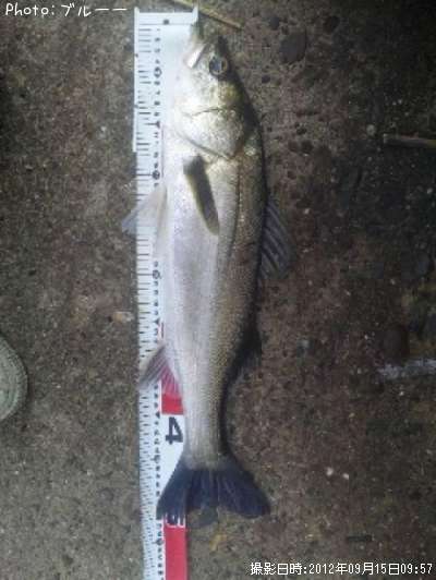 �����Х�