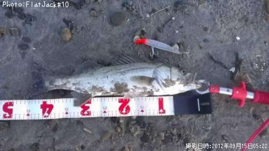 �����Х�