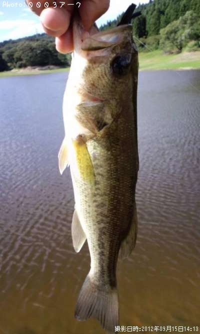 �֥�å��Х�