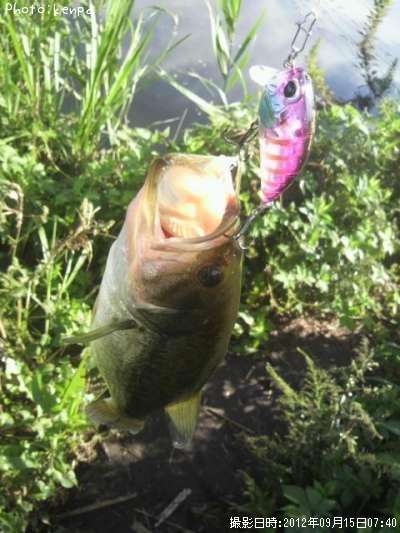 �֥�å��Х�