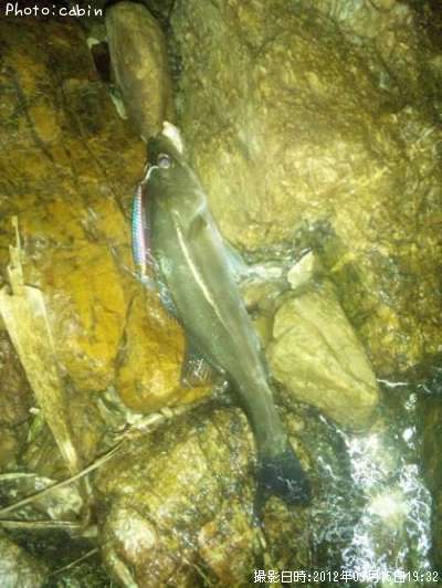 �����Х�