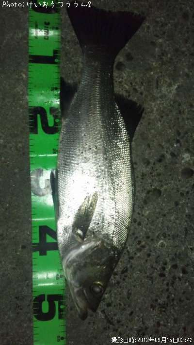 �ҥ饹����