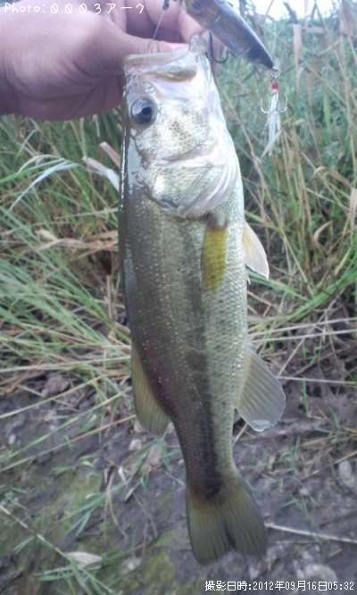 �֥�å��Х�