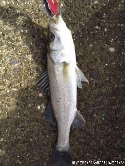 �����Х�