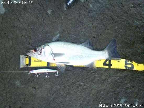 �ҥ饹����