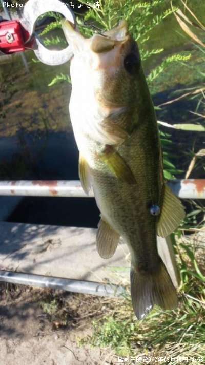 �֥�å��Х�