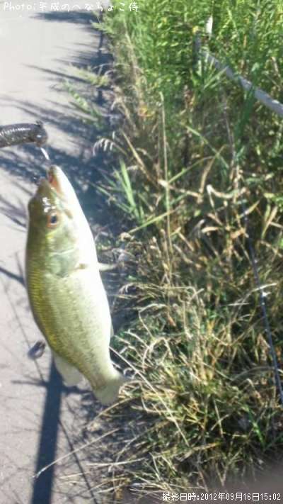 �֥�å��Х�