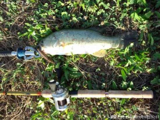 �֥�å��Х�