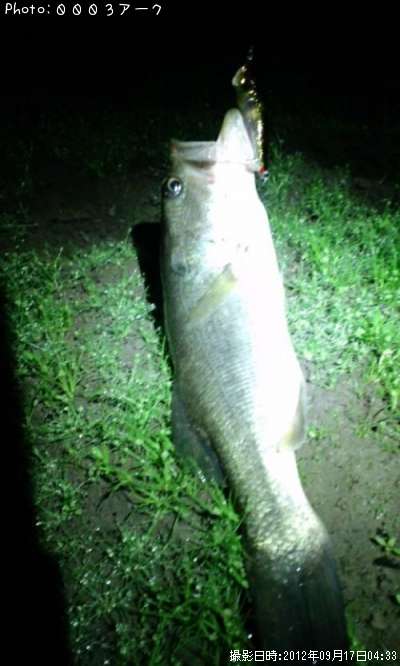 �֥�å��Х�