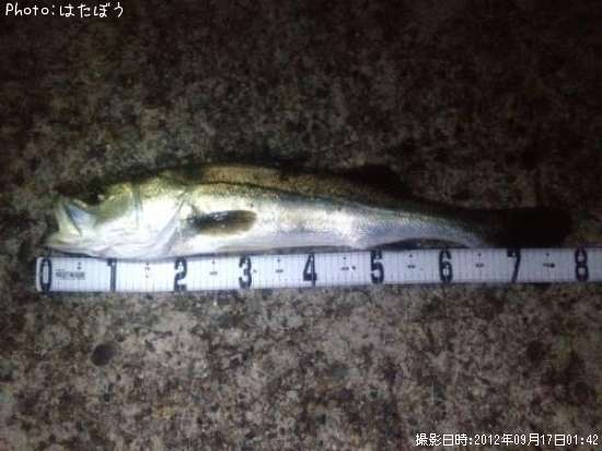 �����Х�