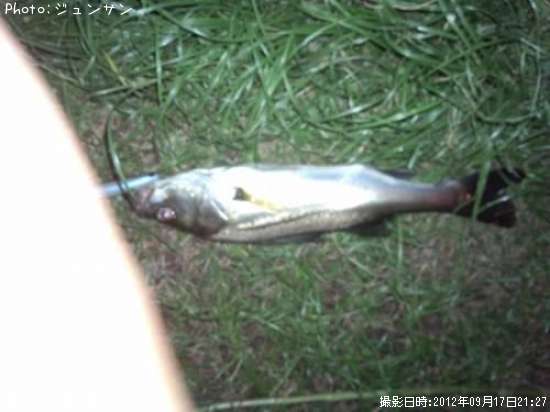 �����Х�