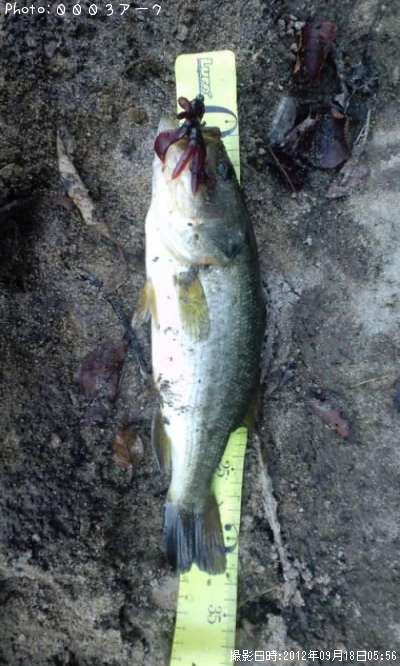 �֥�å��Х�