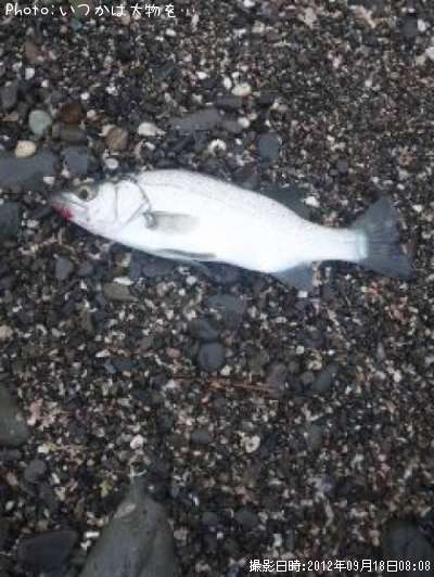 �����Х�