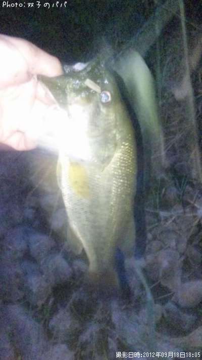 �֥�å��Х�