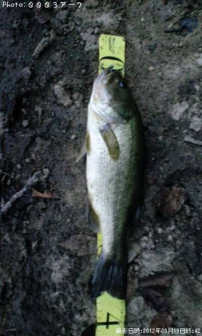 �֥�å��Х�