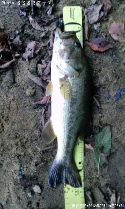 �֥�å��Х�