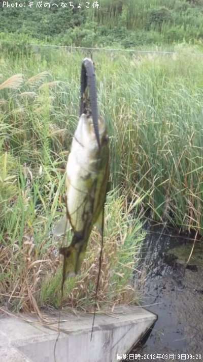 �֥�å��Х�