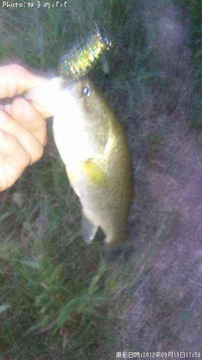 �֥�å��Х�