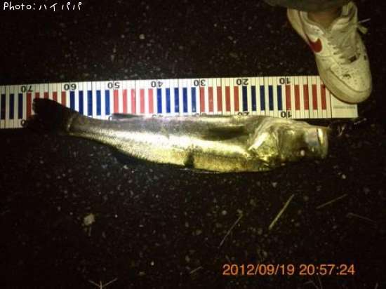 �����Х�