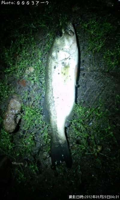 �֥�å��Х�