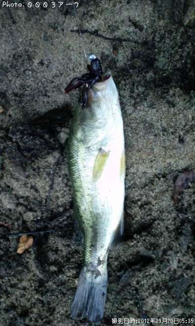 �֥�å��Х�