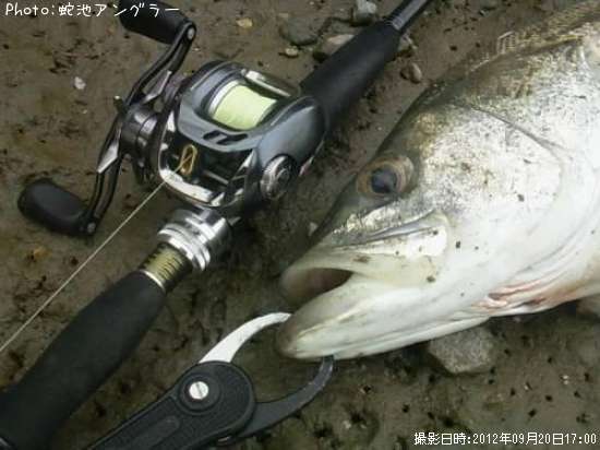 �����Х�