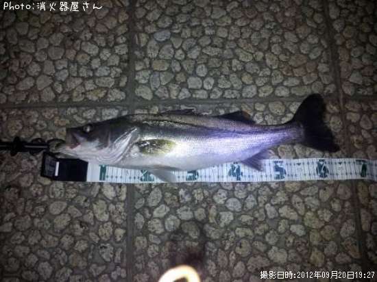 �����Х�