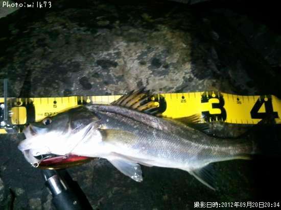 �����Х�