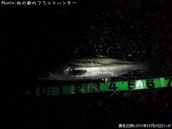 �����Х�