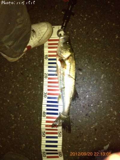 �����Х�