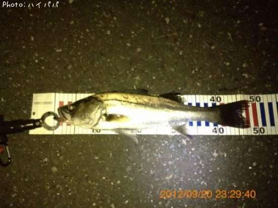 �����Х�