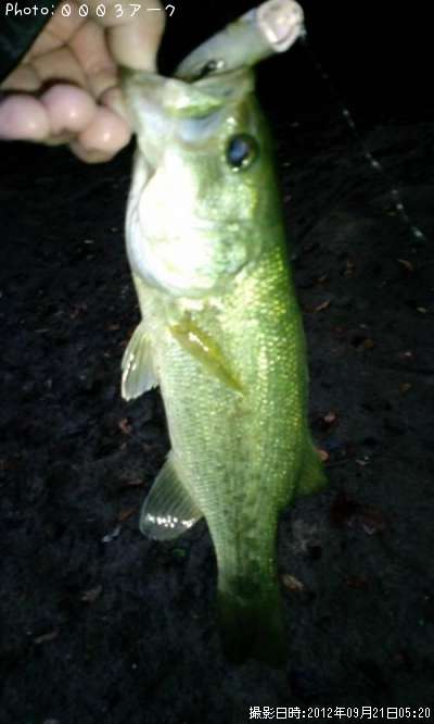 �֥�å��Х�