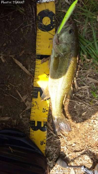 �֥�å��Х�