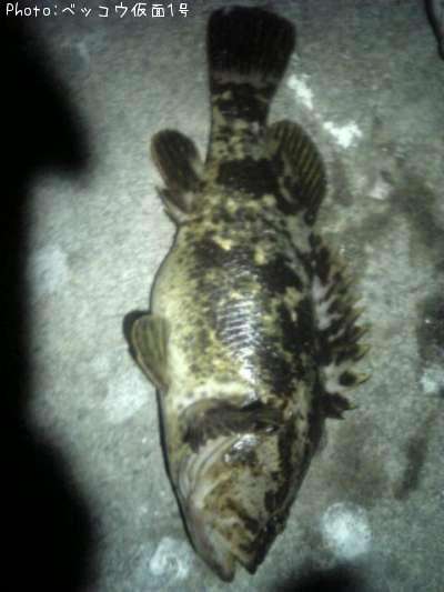 �٥å�������