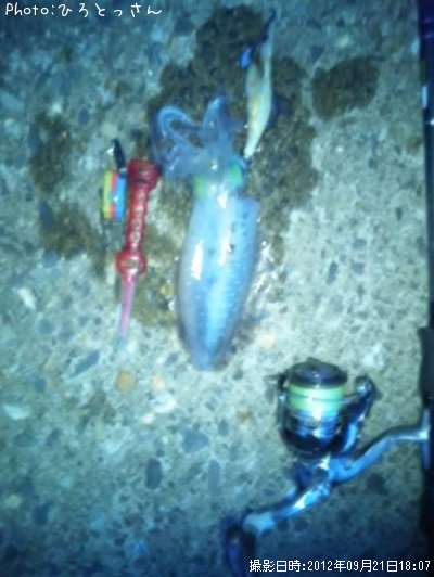 �����ꥤ��