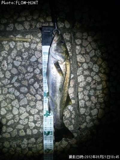 �����Х�