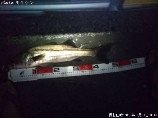 �����Х�