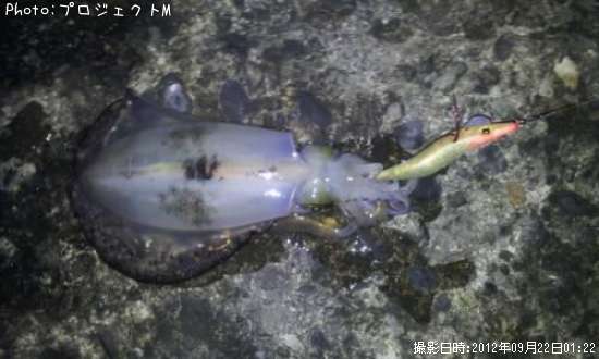 �����ꥤ��